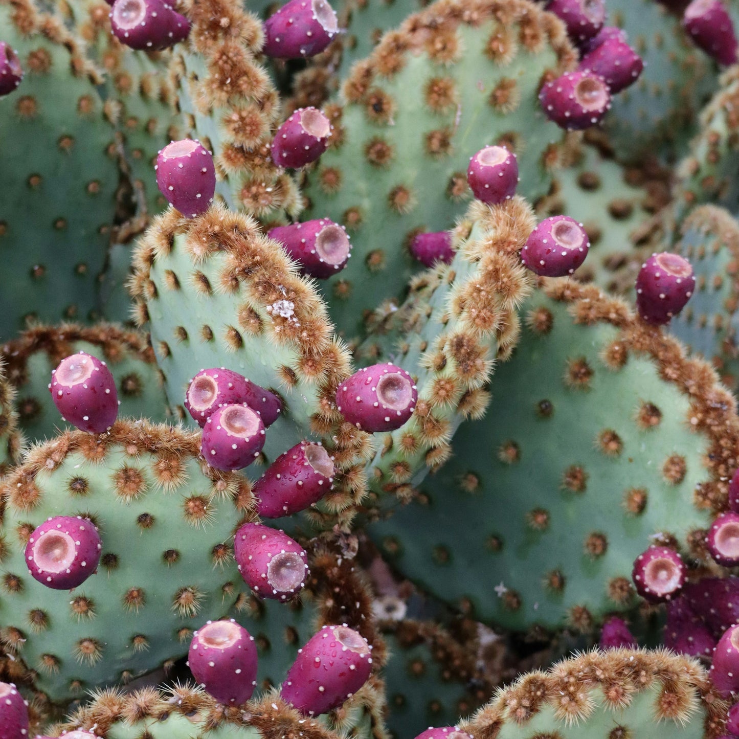 Spa at the Weekend Candle