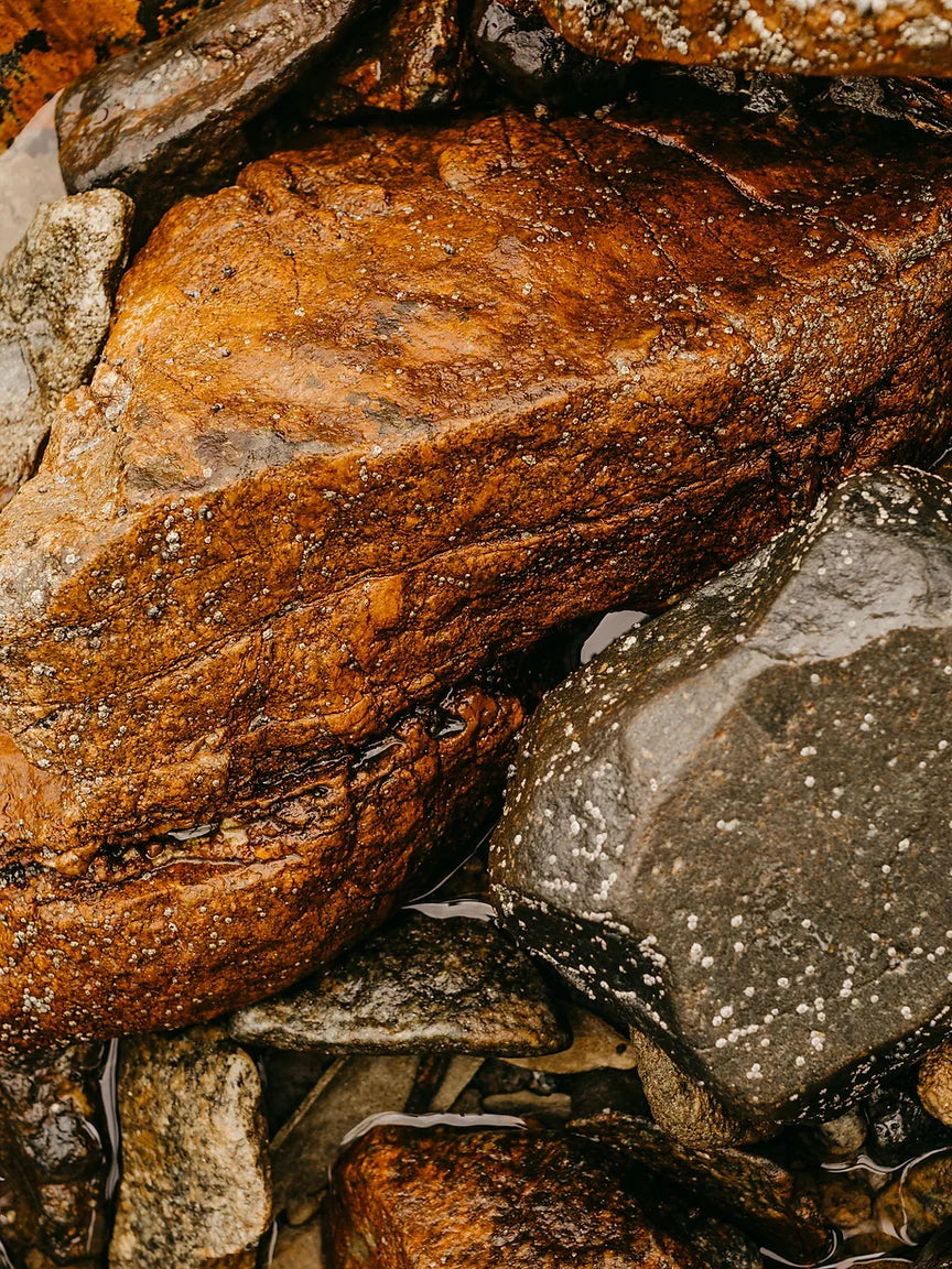 Grounded in the Woods